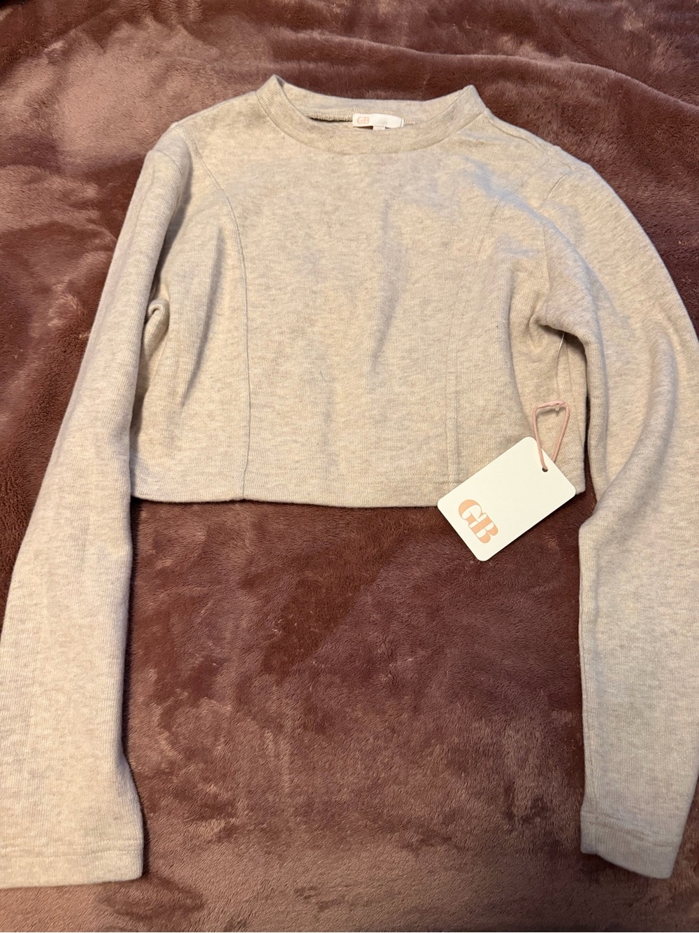 Gianni Bini Heather Gray Cropped Long Sleeve Top